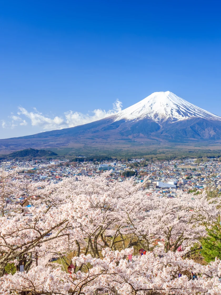 日本